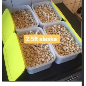 4 Adet 2.5 Lt Alaska.