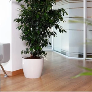 Saksı Yakut Çiçek Saksısı Beyaz Salon Saksısı 22 Litre Iç Drenajlı Saksı