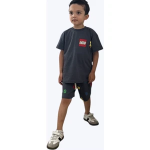 Erkek Çocuk LEGO Baskılı Şortlu Alt Üst Takım