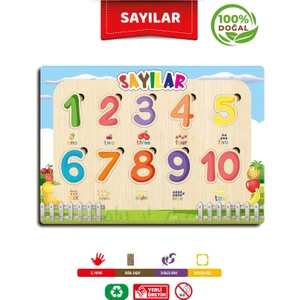 Ahşap Eğitici Öğretici Sevimli Türkçe Sayılar Sayıları Öğreniyorum
