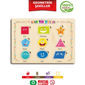 Ahşap Eğitici Öğretici Geometrik Şekiller Sok Tak Bul Tak Puzzle