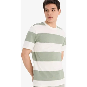 %100 Pamuk Regular Fit Bisiklet Yaka Çizgili Kısa Kollu Tişört E5485AX25SM