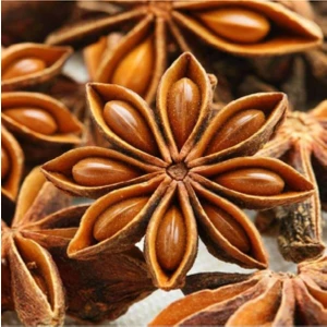 Yıldız Anason 100 gr