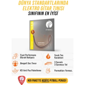 Pitbull Strings Silver Series Seg 09-42 Sl Takım Tel Elektro Gitar Teli