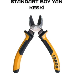 Standart Boy Yan Keski