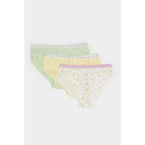 Kız Çocuk Desenli 3'lü Slip Külot E7074A825SP