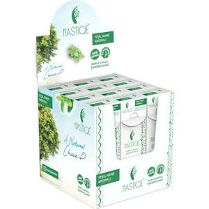 Yeşil Nane Aromalı Damla Sakızlı Şekersiz Sakız 20  gr x 12 Adet