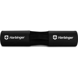 227100 Hip Thrust Bar Padi