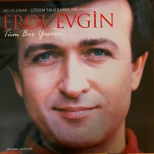 Erol Evgin - Tüm Bir Yaşam 1980 - 83 (Plak)