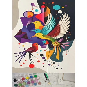 Sayılarla Boyama Tuval Seti Fırça Boya Dahil (Çıtalı) 40X50 cm - Kuşlar