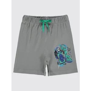 Civil Boys Erkek Çocuk Şort 2-5 Yaş Açık Gri