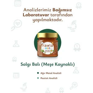 Salgı Balı (Meşe Kaynaklı) - 250g