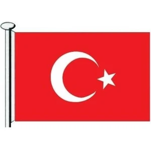 Türk Bayrağı  20X30