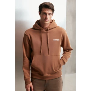 Martel Erkek Regular Fit Yumuşacık Içi Polarlı Kordonlu Kapüşonlu Baskılı Açık Kahverengi Sweatshirt