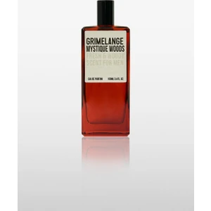 Mystıque Woods Aromatik Notalı Fresh Uzun Süre Kalıcı 100 ml Erkek Parfüm
