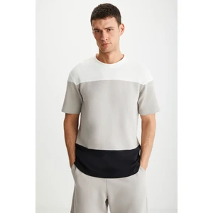 KARNOX Erkek Yuvarlak Yaka Kısa Kol Regular Fit Ekru/Bej/Siyah T-Shirt