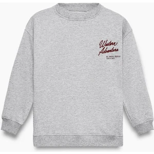 Chaca Erkek Çocuk Baskılı Grimelanj Sweatshirt