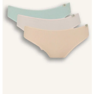 Ribana 3'lü Brief Külot D6404AX25SP