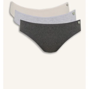 Ribana 3'lü Brief Külot D6404AX25SP