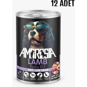 Kuzu Etli Yavru Köpek Maması 24ADET