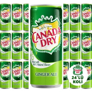 Canada Dry Ginger Ale 330ml 24'lü Koli