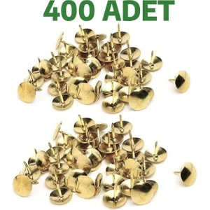 10 Kutu Raptiye Toplamda 400 Adet Raptiye