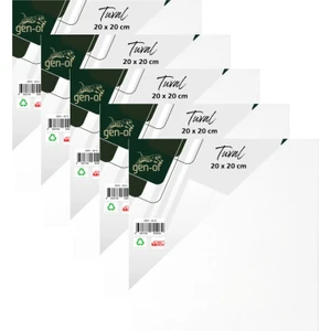 Küçük Resim Tuvali %100 Pamuk 20X20 cm Arkadan Zımbalı 5 Adet