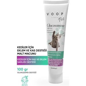Pet Glucosamine Paste (Kediler Için Birleşim ve Kas Desteği) 100 gr