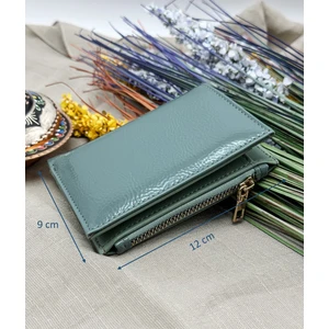 Santos Kağıt ve Bozuk Para Bölmeli Kadın Cüzdan