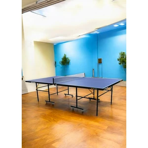 Delux Lite Indoor Masa Tenisi Masası - 16MM - 2 Raket, 3 Top ve Ağdemir Hediyeli