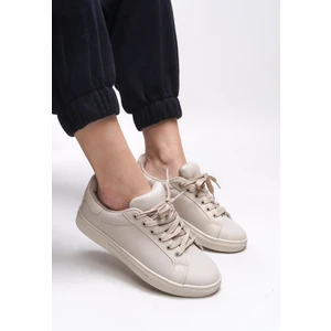 Meshronei Kadın Sneaker 0012601