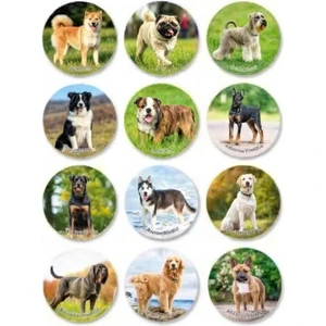 Brother Toys 12 Adet Gerçekçi Kaliteli Oyuncak Köpek Figür Bulldog, Labrador, Rottweiler, Sibirya Kurdu, Doberman