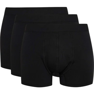 Regular Fit 3'lü Boxer W6734AZ25SP