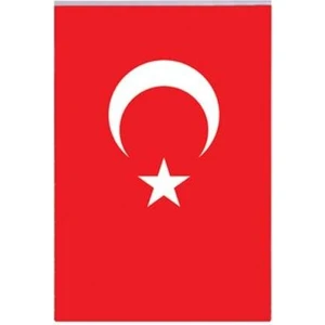 Vatan 40X60 Polyester Bayrak