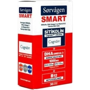 Smart Sitikolin, Dha Omega 3 Ve B12 (30 Kapsül) Norveç Balık Yağı