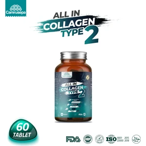 All In Tip 2 Kolajen | 60 Tablet