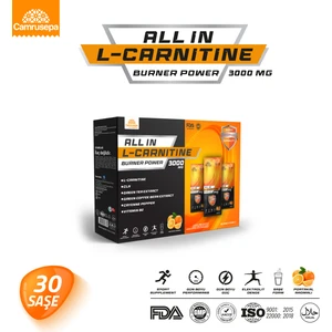 All In L-Carnitine Burner Power