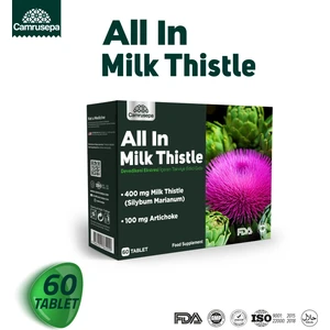 All In Milk Thistle | Devedikeni Esktresi + Enginar Ekstresi | 60 Tablet