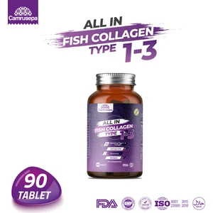 All In Tip 1 - Tip 3 Hidrolize Balık Kolajeni | 90 Tablet