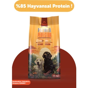 Premier Perfection 15 Kg | Kuzu Etli | Yetişkin Köpek Maması