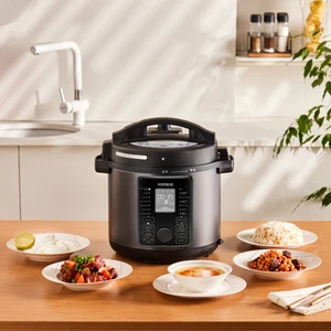 Cooker Elektrikli Düdüklü Basınçlı Pişirici Matte Black 6 L