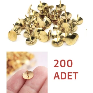 Raptiye 200 Adet