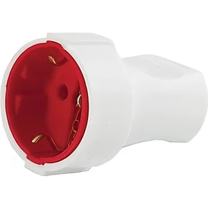 Mutlusantopraklı Dişi Fiş