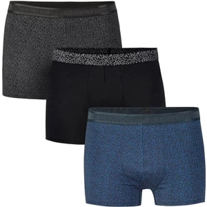 Pierre Cardin Erkek 3 Lü Desenli Boxer Set