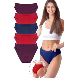 Kadın 5'li Organik Pamuk Fitilli Bikini Külot Bk2-A2