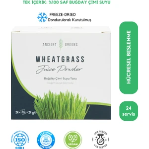 Ancient Greens Buğday Çimi Suyu Tozu 24 x 1 gr