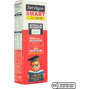 Smart Kids Sitikolin Dha Omega 3 ve B12 150 ml