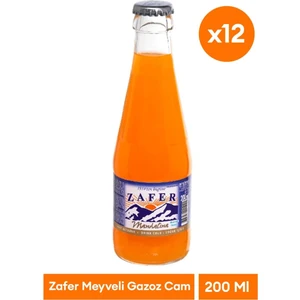 Gazoz Meyveli 12x200ml
