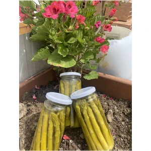 Aydın Enginar Köy Ürünleri Kuşkonmaz Konserve 500 gr
