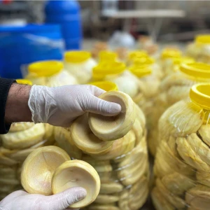 30 Lu Mini Boy Taze Çanak Enginar